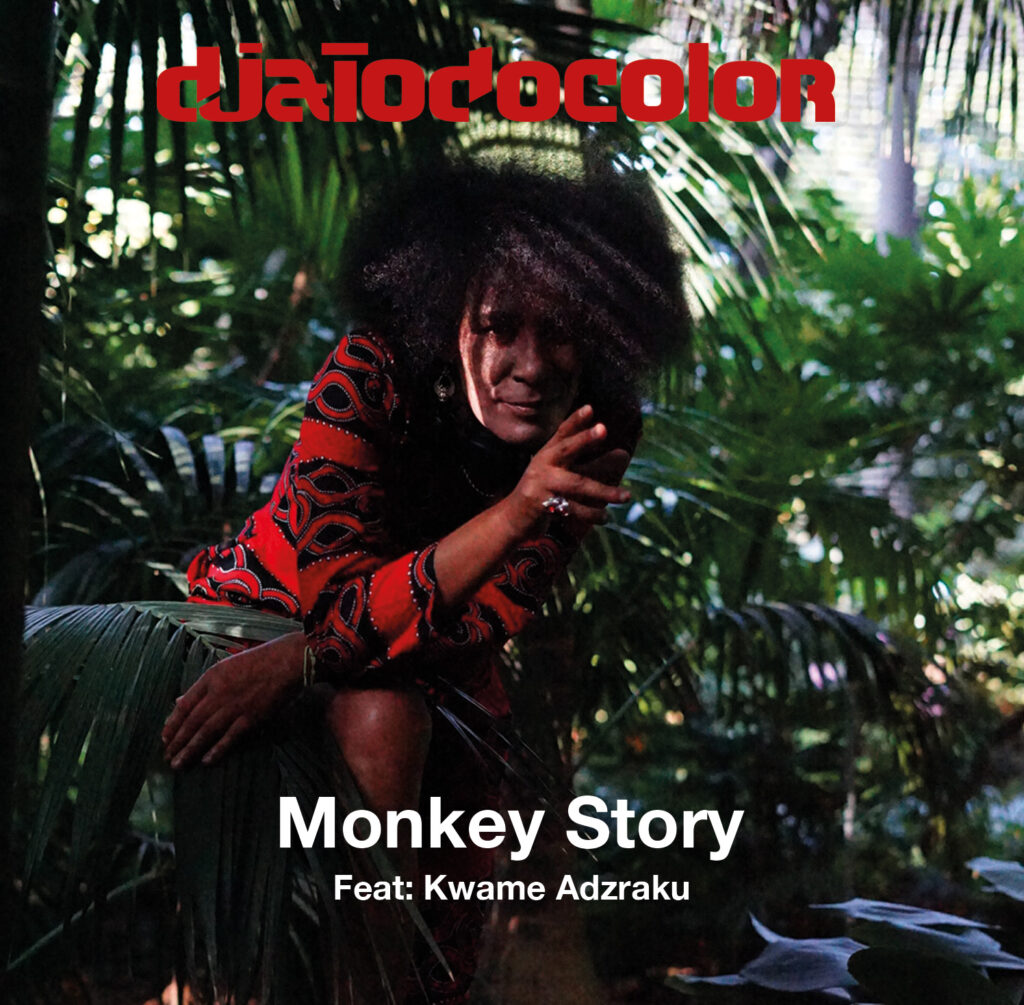 ©.djatodocolor monkey story portada